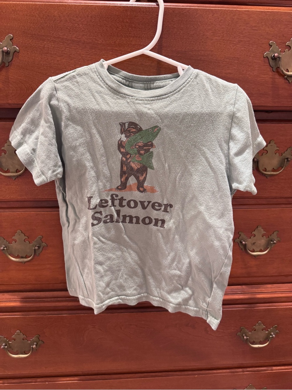 Skin Short-Sleeve Light Sage Graphic Tee with Bear and Salmon Size 4T